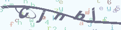 ֤